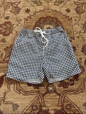 Wildling boys swim trunks 10/12 gingham